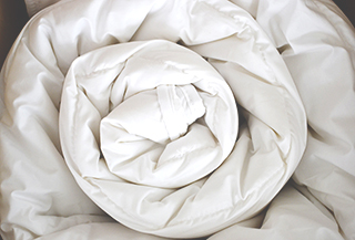 blog feather duvet