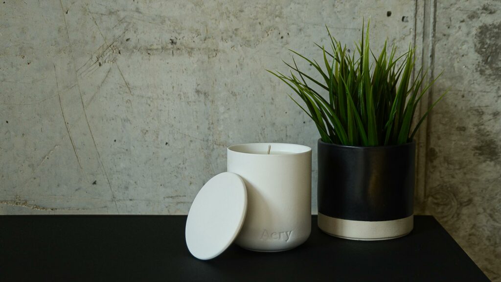 Aery Nordic Cedar with plant