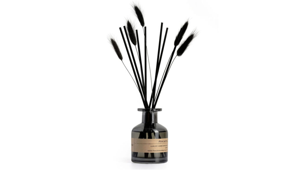 Atacama diffuser in dark glass with black bunny tails and reeds.