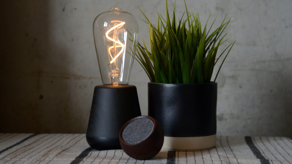 Humble One light with small wooden speaker and plant