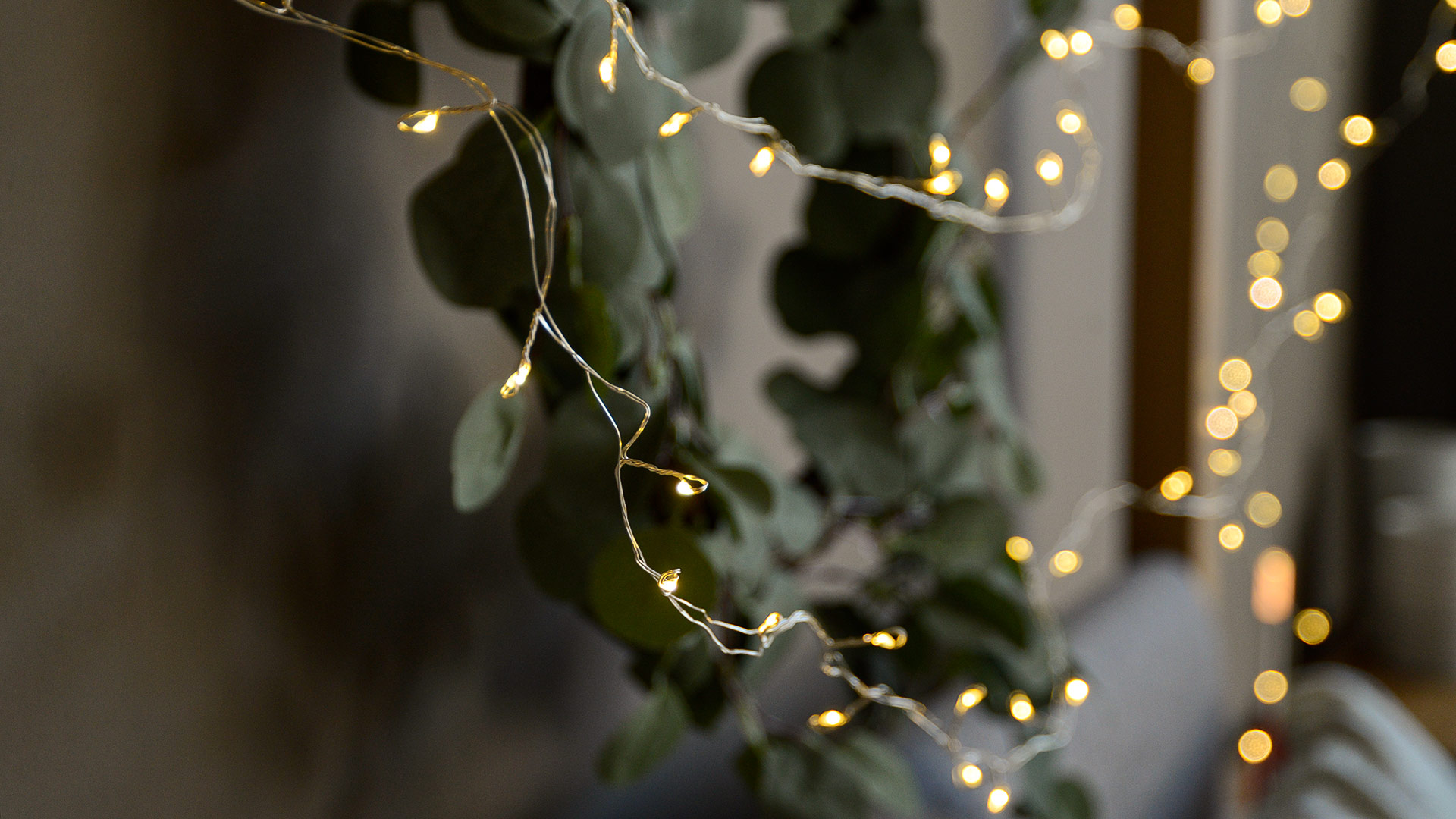 silver wire LED light string